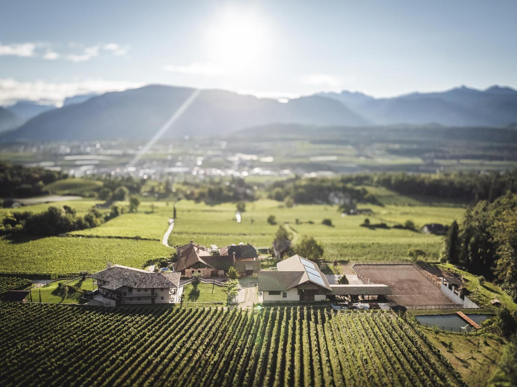 Ferienwohnung Nofnerhof Eppan an der Weinstraße Exterior foto